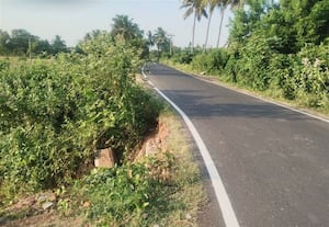  சாலையோர பள்ளத்தால் விபத்து அபாயம்