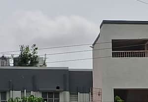  போலீஸ் குடியிருப்பு கட்டடம் வேரூன்றி வளரும் ஆலமரம்