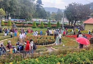 'கொடை'யில் பெய்த மழை ரம்யமான சூழலை ரசித்த பயணிகள்