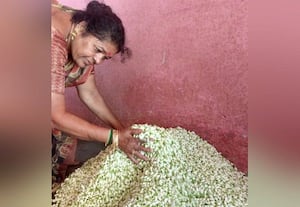 துபாய், சிங்கப்பூர் செல்லும் ஆண்டிபட்டி மல்லிகை