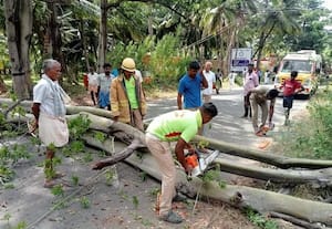  ரோட்டில் மரம் சாய்ந்து போக்குவரத்து பாதிப்பு