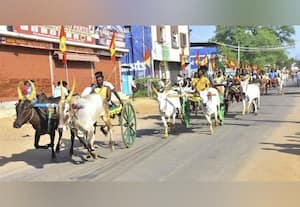  மாட்டு வண்டி பந்தயம்