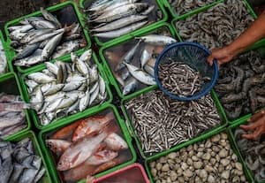  தமிழகத்தில் ரூ.9,400 கோடியில் கடல் உணவு ஏற்றுமதி மண்டலம்
