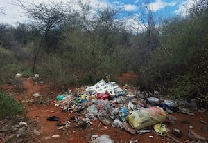 வனப்பகுதியில் குப்பையால் மாசு :கண்டுகொள்ளாத அதிகாரிகள்