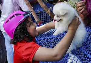 கொல்கத்தா செல்லப்பிராணிகளின் சந்தை