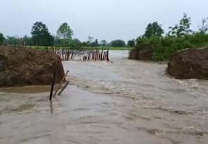 அசாமில் கனமழையால் 4 மாவட்டங்களில் கடும் சேதம்; 50, 000 பேர் பாதிப்பு