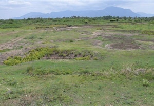 mavattam-main