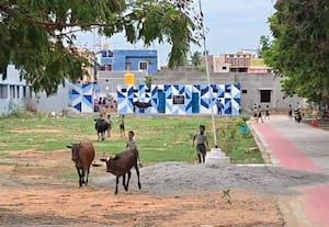  பள்ளி வளாகமா... மாட்டு தொழுவமா?