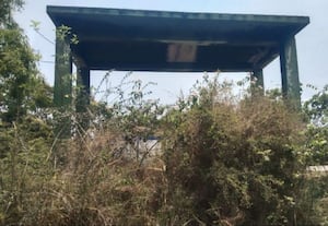  தகனமேடையை சுற்றி செடி, கொடிகள் இறந்தவர் உடலை எரிப்பதில் சிக்கல்