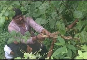  காட்சிமுனை பகுதியில் தவறி விழுந்தவர் மீட்பு