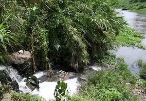  முல்லைப்பெரியாற்றை மாசுபடுத்தும் சாக்கடை கழிவுநீர்; சுத்திகரிக்காமல் கலக்கும் அவலம்