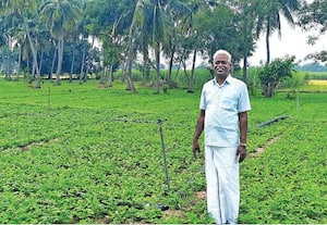  'நிலக்கடலையை மதிப்பு கூட்டினால் நிறைவான லாபம்!'
