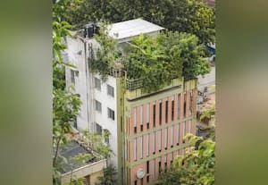  ஓய்வு பெற்ற மெக்கானிக்கல் இன்ஜினியர் வீட்டின் மொட்டை மாடியில் 'மினி வனம்'