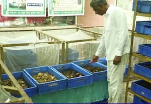  குப்பையில் இயற்கை உரம் தயாரிக்கும் கிராமம் 
