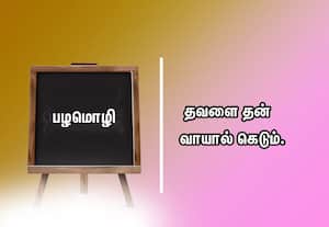  பழமொழி