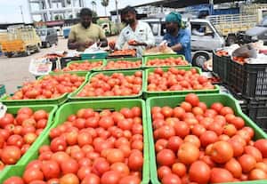  ஆந்திராவில் இருந்து குவிகிறது தக்காளி
