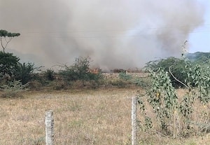  அண்ணாமலை பல்கலைக்கழக புல் பண்ணையில் தீ புகை சூழ்ந்ததால் பள்ளி மாணவர்களை வெளியேற்றி விடுமுறை அளிப்பு