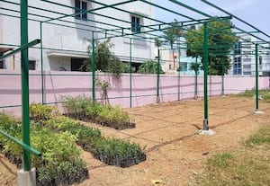  திருவள்ளூரை பசுமையாக மாற்ற 64,000 மரக்கன்றுகள் நட இலக்கு