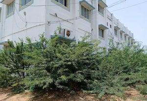 வேளாண் அலுவலகத்தை சுற்றிலும் முள் மரங்கள்: பராமரிப்பு தேவை