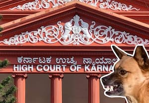 வளர்ப்பு நாய் கடித்தால் உரிமையாளரே பொறுப்பு: ஐகோர்ட் அதிரடி