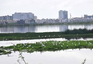  ராம்சார் எல்லை வரையறை பிரச்னையால் ரூ.71,500 கோடிக்கு வர்த்தகம் பாதிப்பு: 'கிரெடாய்' அமைப்பின் நிர்வாகிகள் தகவல்