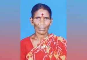  காவாங்கரை சாலையில் விபத்து வேன் மோதியதில் மூதாட்டி பலி