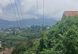 மின் கம்பியில் வளர்ந்துள்ள புதர் செடிகளால் பாதிப்பு