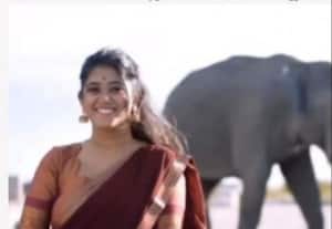  காட்டு யானை முன் 'வீடியோ' பெண் செயலுக்கு எதிர்ப்பு