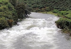  வால்பாறையில் கனமழை; சுற்றுலா பயணியருக்கு தடை