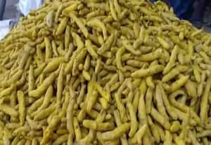  மஞ்சள் குவின்டாலுக்கு ரூ.2,000 வரை உயர்வு