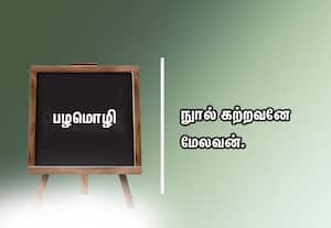  பழமொழி