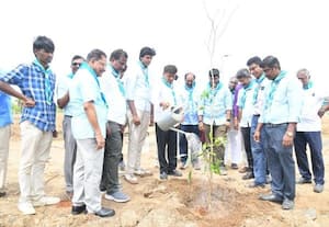  லியோமுத்துவின் நினைவேந்தல் கல்லுாரியில் மரக்கன்றுகள் நடவு
