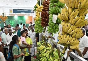  கோடியில் முதலீடு... லட்சங்களில் லாபம்! விவசாயத்திலும் சாத்தியம் n அக்ரிஇன்டெக்ஸ் சத்தியம்