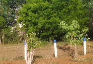mavattam-main