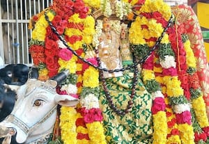  கோயில்களில் பிரதோஷ வழிபாடு