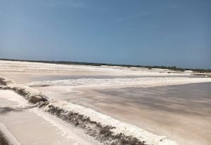 தமிழ்நாடு அரசு நிறுவனத்தில் டன் கணக்கில் உப்பு தேக்கம்: சம்பளம் வராமல் தொழிலாளர்கள் பரிதவிப்பு