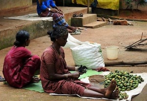 சுய வேலை வாய்ப்பில் பாக்கு உரிக்கும் தொழில்