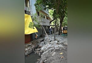  வடிகாலுக்காக மரங்கள் அகற்றம்; கோடம்பாக்கத்தில் ஆர்ப்பாட்டம்