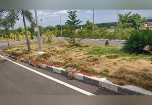  காளாஞ்சிபட்டியில் பராமரிப்பு இல்லாத அரசு போட்டித்தேர்வு பயிற்சி மையம்