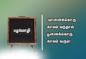  பழமொழி