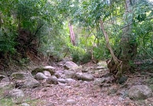  நீரின்றி வறண்டு வரும் பேயனாறு கடும் குடிநீர் தட்டுப்பாடு அபாயம்