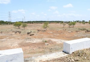  தென்னையை காப்பாற்ற உயிர் நீர் விவசாயிகள் கோரிக்கை
