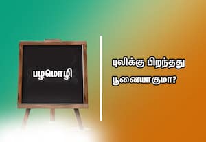  பழமொழி