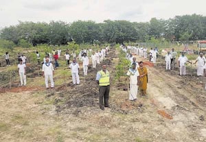 தேசிய நெடுஞ்சாலையில் பிரேமதரு திட்டத்தில் மரக்கன்று நடும் நிகழ்ச்சி
