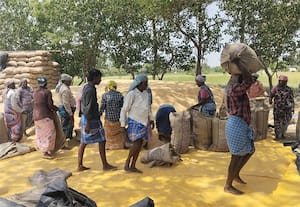 ஆட்சி மாறினாலும் நெல் கொள்முதலில் தொடரும் லஞ்சம்; கோடை சாகுபடியில் மட்டும் ரூ.150 கோடி வசூல் வேட்டை