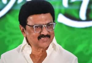 Stalin returns to Chennai from London
