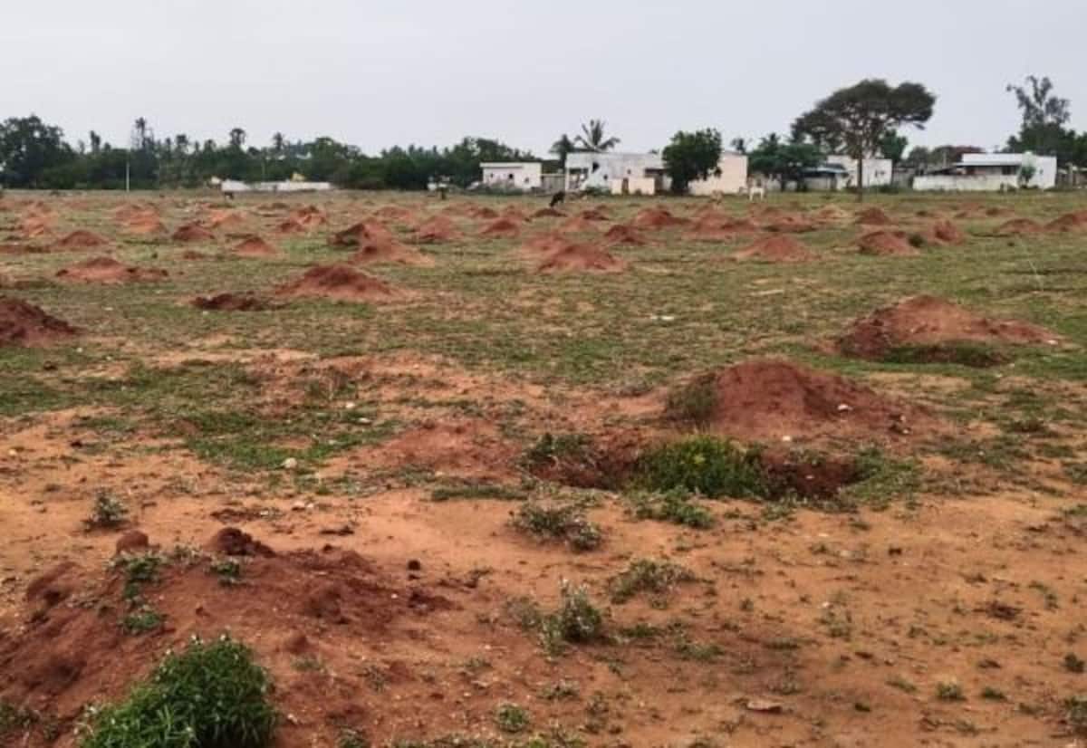 கருமத்தம்பட்டியில் லட்சம் மரங்களுடன் ‘ரோட்டரி வனம்’ சிறுதுளியுடன் கரம் கோர்க்கின்றன 77 கிளப்புகள்