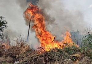  விவசாய கழிவுகளில் தீ விபத்து