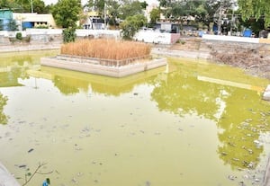  ஸ்ரீவி., சக்கரை குளம் அசுத்தம்: ஆண்டாள் பக்தர்கள் வேதனை