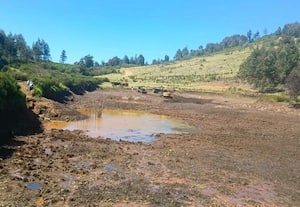 பராமரிப்பின்றி வறண்டுள்ள உடம்பக்குளம் 300 ஏக்கர் பாசனம் பாதிப்பு